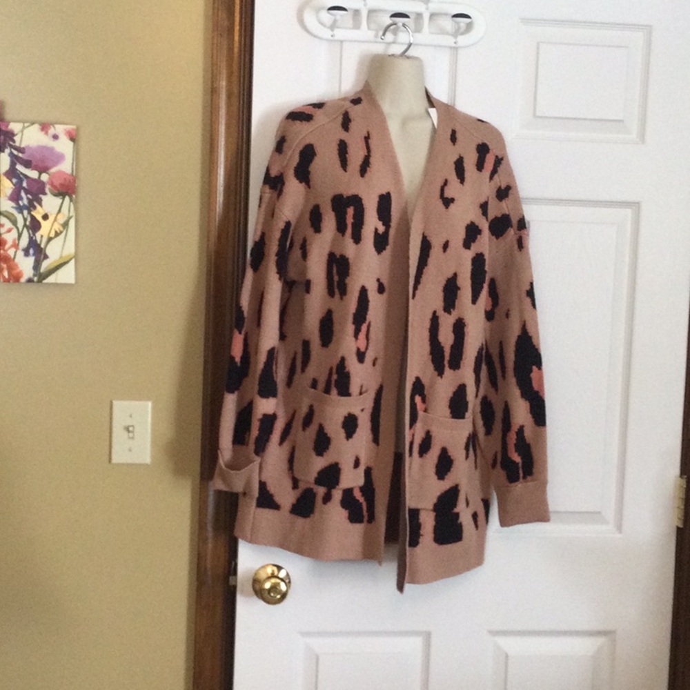 Zesica Cardigan Sweater NWOT